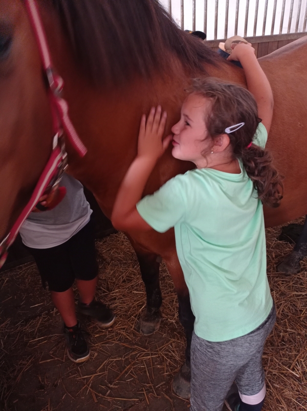 Koně, křtění a pouť